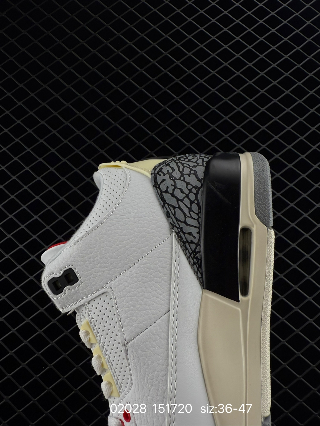 Nike Air Jordan 3 Retro SE